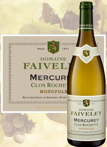 Vin Bourgogne Mercurey Clos Rochette 2011