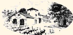 DOMAINE LES 1000 VIGNES